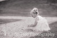 Little Tree Wedding Photography 1093078 Image 1